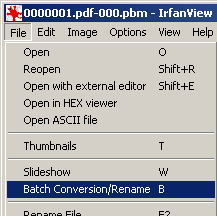 Select "Batch Conversion/Rename" from the File menu
